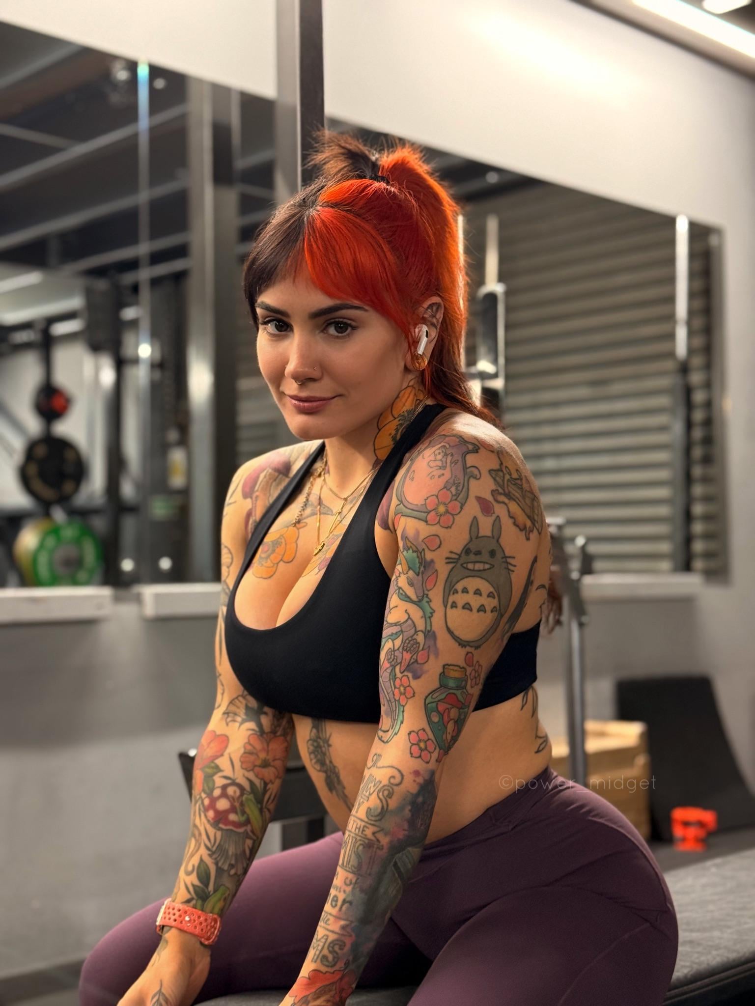 powermidget Gulgowski