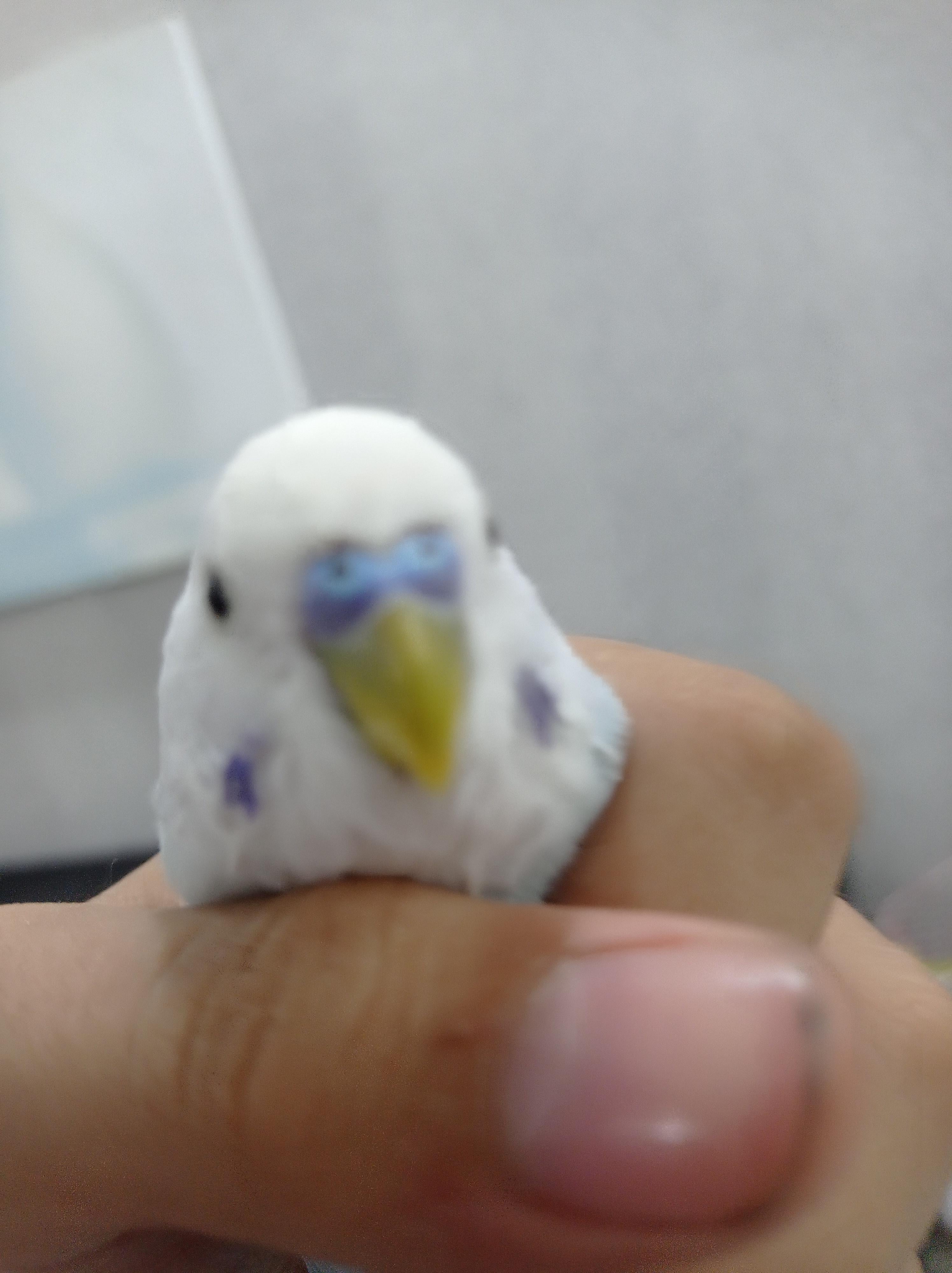 OverProblem9895 Chử