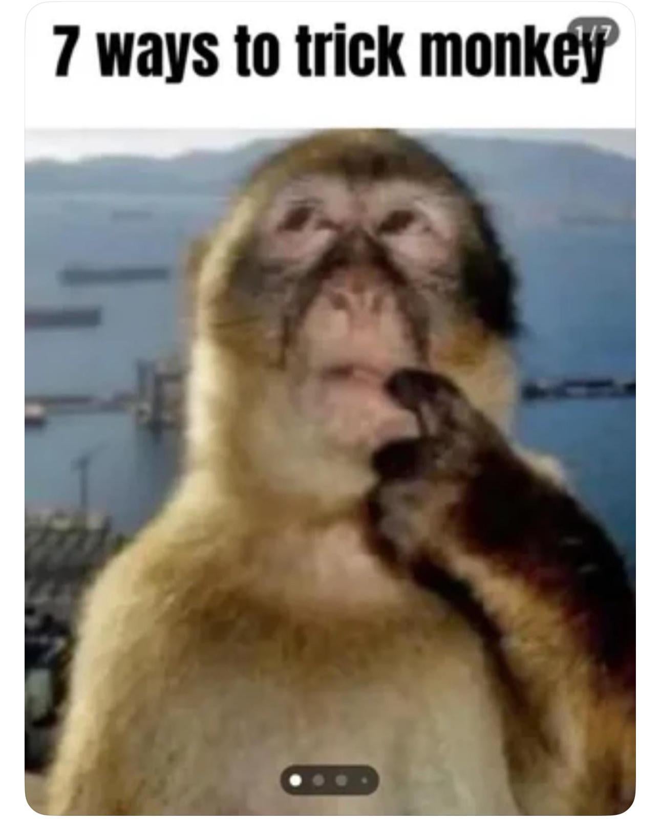 ShortChannel7266 Thập