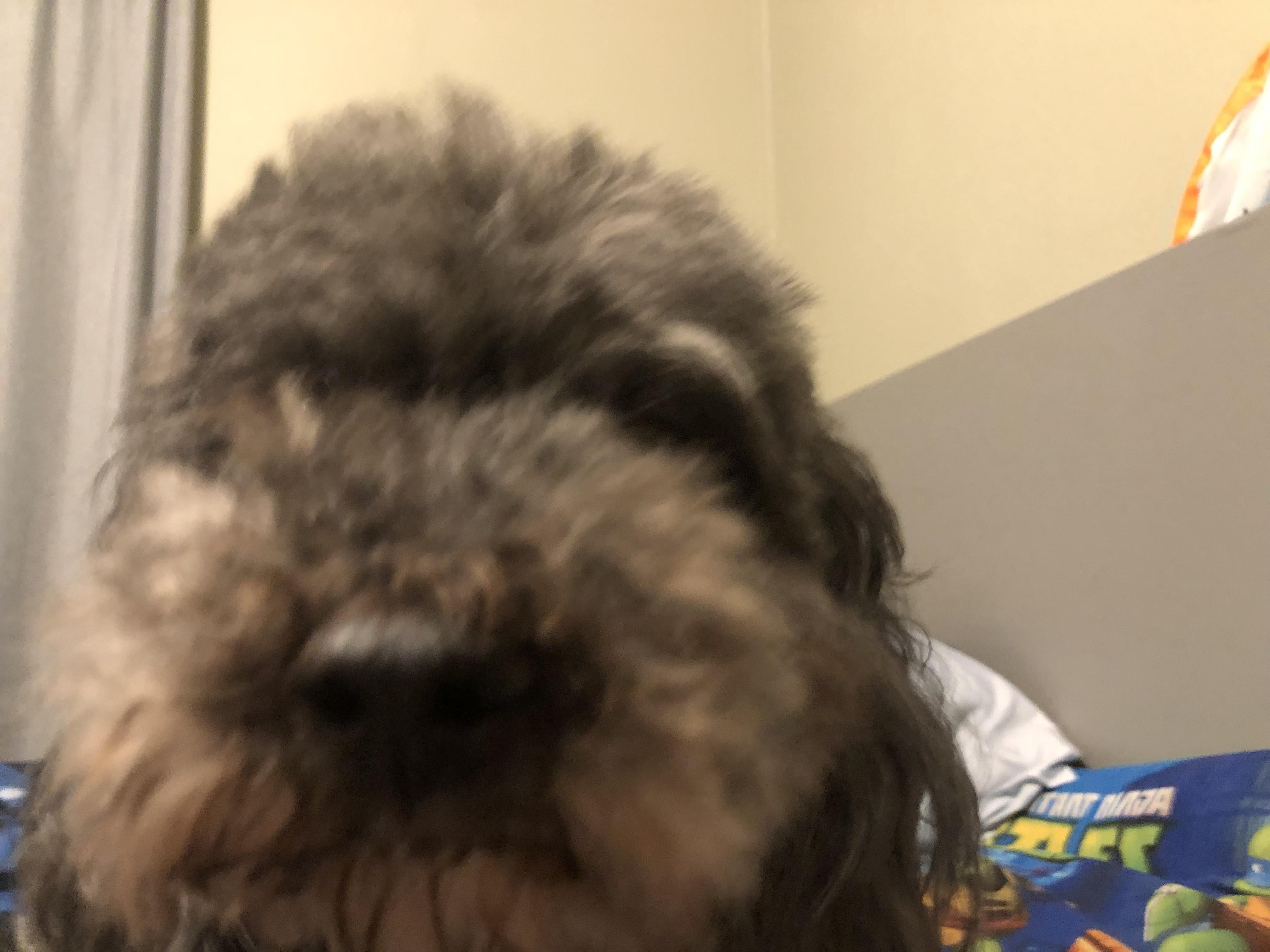 TransitionEither609 Hintz