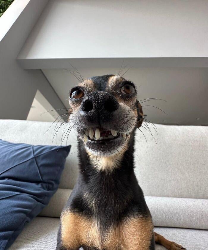 CrazyBoring Thi